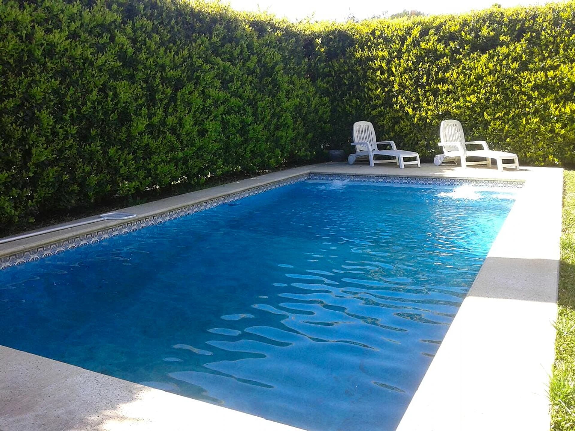 Piscina clásica rodeada de cerco vivo y reposeras